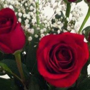 Meet your Posher, Lauree